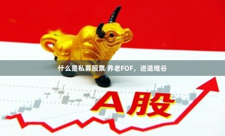 什么是私募股票 养老FOF，进退维谷