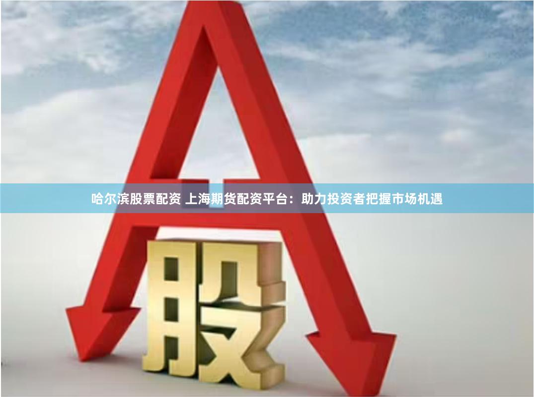 哈尔滨股票配资 上海期货配资平台：助力投资者把握市场机遇